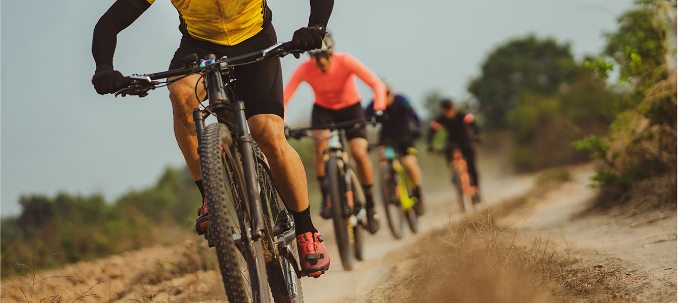 Mountain bike
